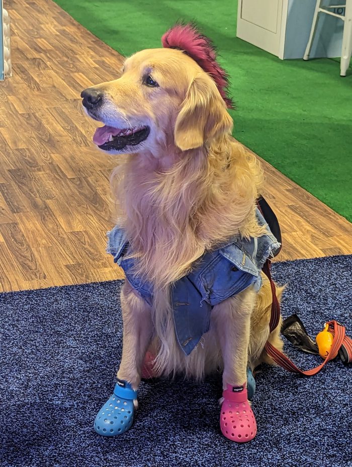 Dog Model at the Global Pet Expo